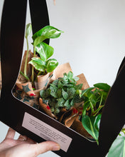 Load image into Gallery viewer, Kokeball Hamper Packaging