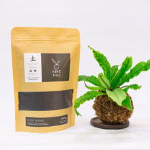 Load image into Gallery viewer, Silverwing Kokeball