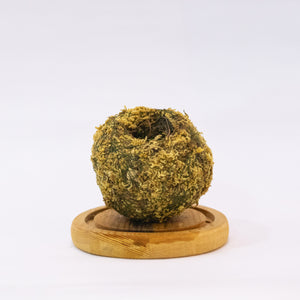 Kokeball Empty Moss Husk