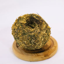 Load image into Gallery viewer, Kokeball Empty Moss Husk
