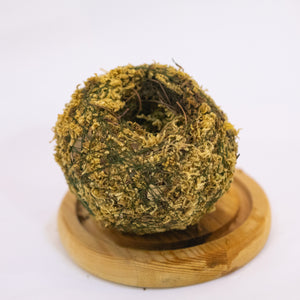 Kokeball Empty Moss Husk