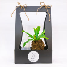 Load image into Gallery viewer, Kokeball Hamper Packaging
